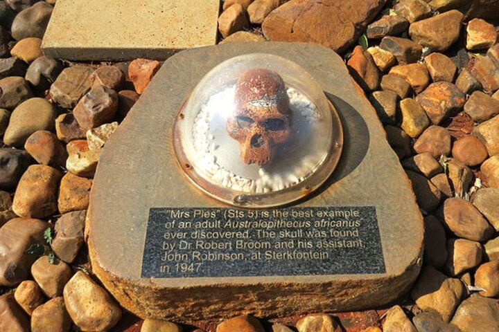 Evolution of humanity tour  - Photo 1 of 7